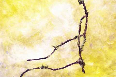 Twig (Branch as Your Spine)