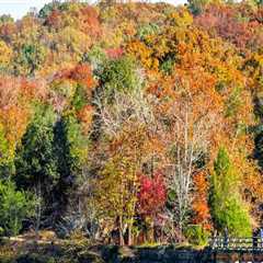 The Best Time to Explore the Exhibits in Montgomery County, MD