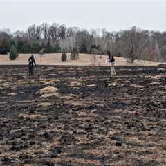 The Impact of Pesticides and Herbicides on Plant Conservation in Anoka County, MN