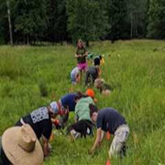 The Evolution of Plant Conservation in Anoka County, MN