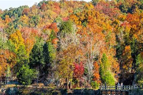 The Best Time to Explore the Exhibits in Montgomery County, MD