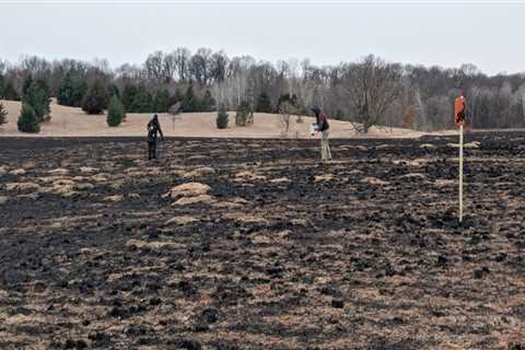 The Impact of Pesticides and Herbicides on Plant Conservation in Anoka County, MN