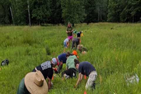 The Evolution of Plant Conservation in Anoka County, MN