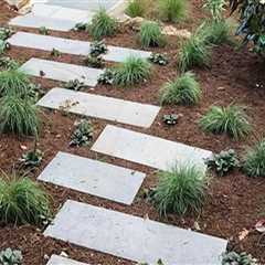 Eco-Friendly Landscaping Options in Camden County, New Jersey