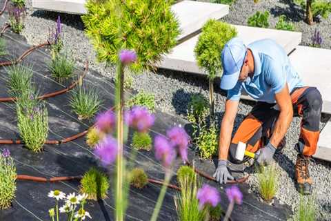 The Best Flowers to Grow in King County, Washington