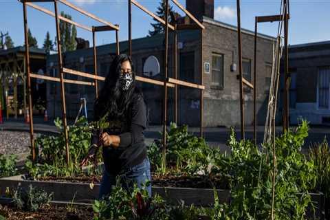 Exploring Local Farmers Markets for Gardening Supplies in King County, Washington