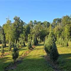 Sustainable Agriculture and Forestry in Gulfport, MS: A Comprehensive Guide