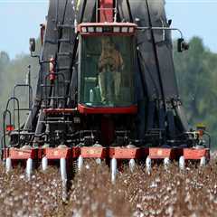 The Economic Impact of Farms in Southern Mississippi