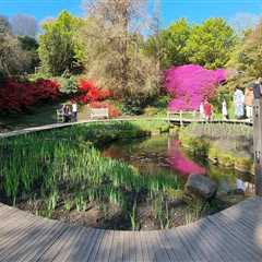 Bloom and Wander: Discover the Magic of Botanical Gardens