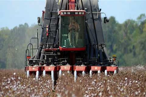 The Economic Impact of Farms in Southern Mississippi