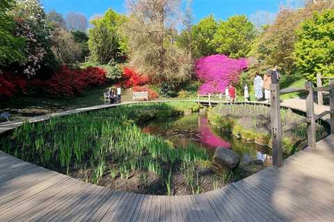 Bloom and Wander: Discover the Magic of Botanical Gardens