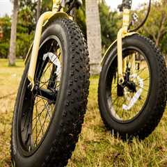 See More, Do More: Vacation Activities Made Easy With Waikiki E-Bike Rentals
