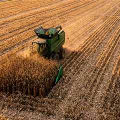 The Crucial Role of Agriculture in Ensuring Food Security in Fairfax County, Virginia
