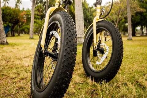 See More, Do More: Vacation Activities Made Easy With Waikiki E-Bike Rentals