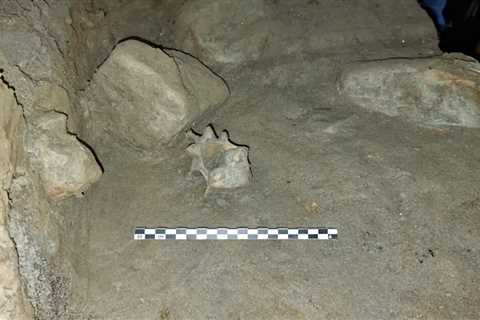 Our DNA analysis of 75,000-year-old bones in Arctic caves reveals how animals responded to..