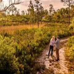 The Growing World of Workshops in Southeast Florida
