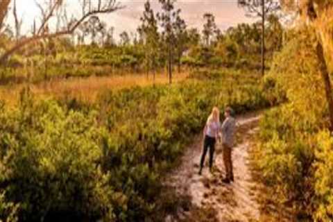 The Growing World of Workshops in Southeast Florida