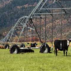 Effective Marketing Strategies for Farmers in Salt Lake County, Utah