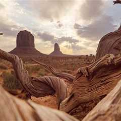 The Expert's Guide to Choosing the Perfect Photographer in Pinal County, Arizona