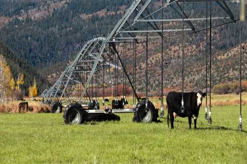 Effective Marketing Strategies for Farmers in Salt Lake County, Utah