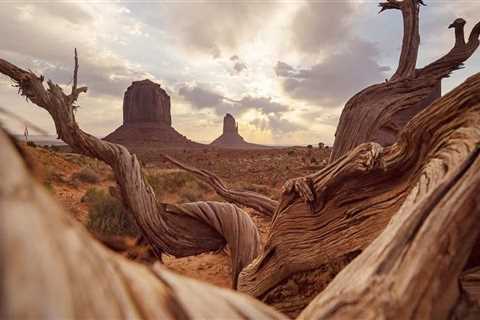 The Expert's Guide to Choosing the Perfect Photographer in Pinal County, Arizona