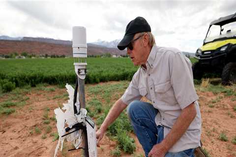 The Crucial Role of Government in Supporting Farmers in Salt Lake County, Utah
