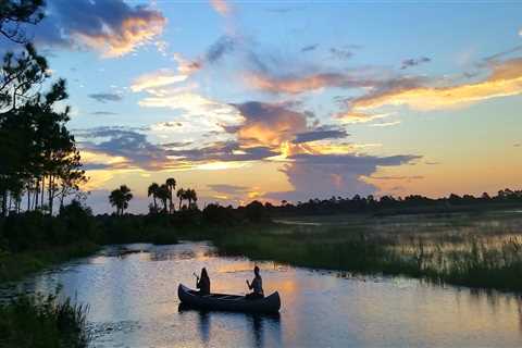 The Hidden Beauty of Photography in Southeast Florida