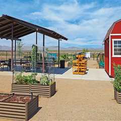 Expert Tips for Starting a Community Garden in Pinal County, Arizona