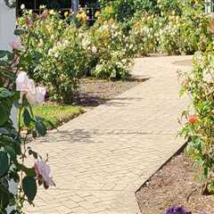 Discovering the Enchanting Gardens of Wilder, Kentucky