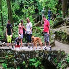 A Comprehensive Guide to the Longest Running Exhibit in Northeast Ohio