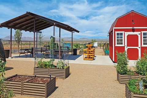 Expert Tips for Starting a Community Garden in Pinal County, Arizona