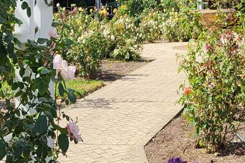 Discovering the Enchanting Gardens of Wilder, Kentucky