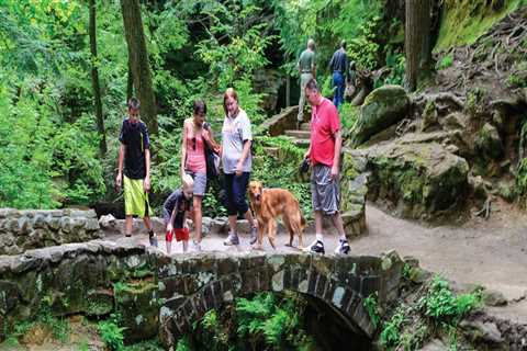 A Comprehensive Guide to the Longest Running Exhibit in Northeast Ohio