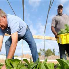 Understanding the Challenges Faced by New Farmers in Waxhaw, North Carolina