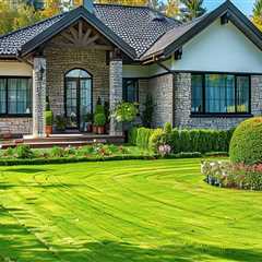 Expert Urban Forestry & Lawn Care in Charlotte