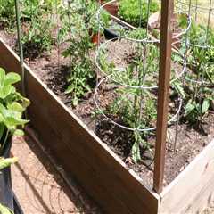 Effective Strategies for Reducing Waste in Your Sustainable Garden