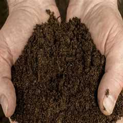 The Essential Role of Composting in Promoting Soil Health for Sustainable Gardening