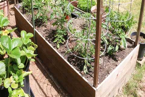 Effective Strategies for Reducing Waste in Your Sustainable Garden