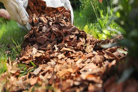The Benefits of Mulch in Sustainable Gardening Practices