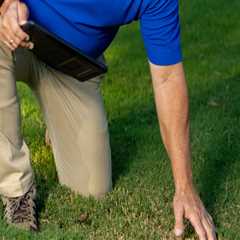 Essential Steps to Test Soil pH for Effective Lawn Fertilization