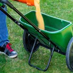 Top Mistakes to Avoid for Effective Lawn Fertilization