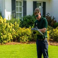 Understanding the Timeline for Lawn Fertilization Results
