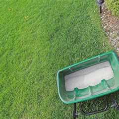 Understanding Lawn Fertilization for Newly Seeded and Sodded Lawns
