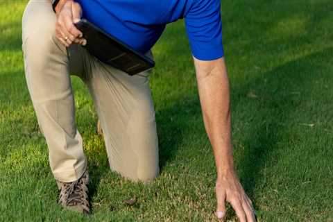 Essential Steps to Test Soil pH for Effective Lawn Fertilization