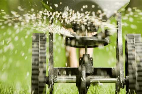 Creating a Tailored Fertilization Schedule for a Thriving Lawn