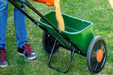 Top Mistakes to Avoid for Effective Lawn Fertilization