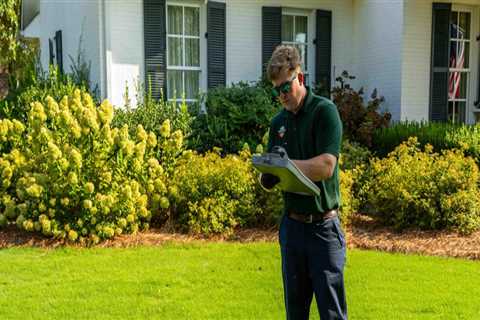 Understanding the Timeline for Lawn Fertilization Results