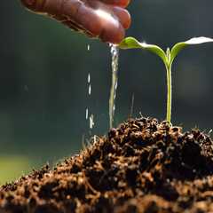 The Impact of Water Management on Soil Fertility Improvement