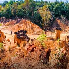 Understanding the Impact of Erosion on Soil Fertility and Improvement Strategies