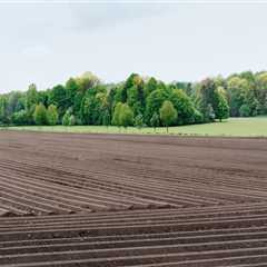 The Impact of Tillage Practices on Soil Fertility Improvement